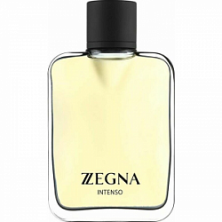 Ermenegildo Zegna Z Zegna Intenso